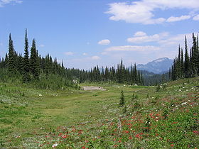 Image illustrative de l'article Parc national du Mont-Revelstoke