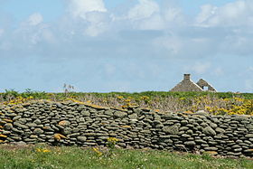 Mur et ruine de ferme sur l'île de Trielen