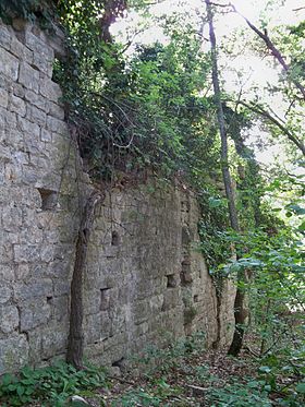 L'un des murs de la nef des Aumades