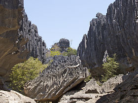 Image illustrative de l'article Parc national du Tsingy de Namoroka