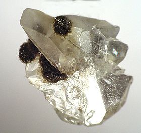 Nchwaningite sur Calcite, N'Ghwaning Mines, Afrique du Sud, 1.7 x 1.3 x 0.4 cm.