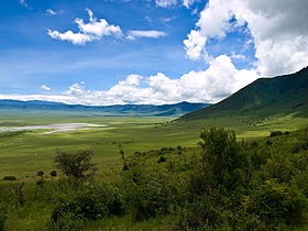 Image illustrative de l'article Aire de conservation du Ngorongoro