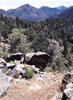 Image illustrative de l'article Owens Peak Wilderness