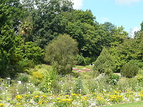 Image illustrative de l'article Jardin des plantes de Caen