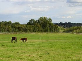 Paddock à Lenham Heath