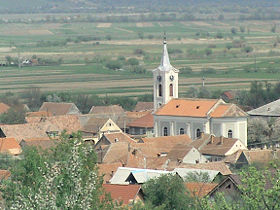 Image illustrative de l'article Racovița