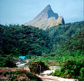 Image illustrative de l'article Parc national du Pico da Neblina