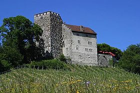 Image illustrative de l'article Château de Habsbourg