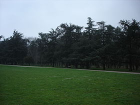 Image illustrative de l'article Parc de Parilly