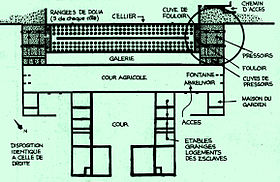 Plan de la villa gallo-romaine du Mollard avec son cellier contenant 204 dolia, 2 fouloirs et 4 pressoirs