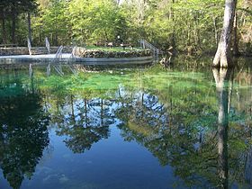 Image illustrative de l'article Parc d'État de Ponce de Leon Springs