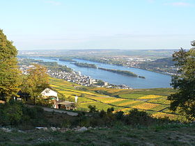 Image illustrative de l'article Rüdesheim am Rhein