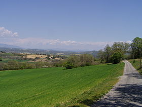 Image illustrative de l'article Route départementale 505 (Alpes-de-Haute-Provence)