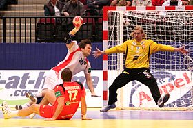RUS vs ISL (02) - 2010 European Men's Handball Championship.jpg
