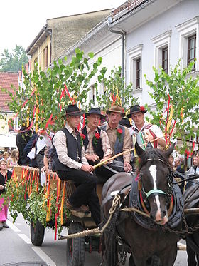 Festivités à Ribnica