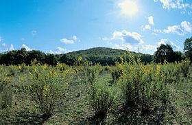 Image illustrative de l'article Parc interprovincial de Montioni