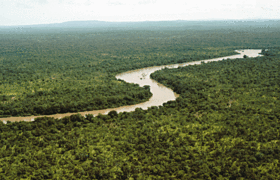 Image illustrative de l'article Parc national du Niokolo-Koba