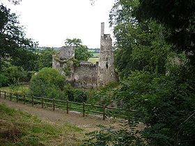 Ruines de l'ancien château de La Turmelière (époque de Joachim du Bellay) à Liré en Anjou