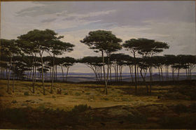 Les pins de Plédéliac par Alexandre Ségé, 1874