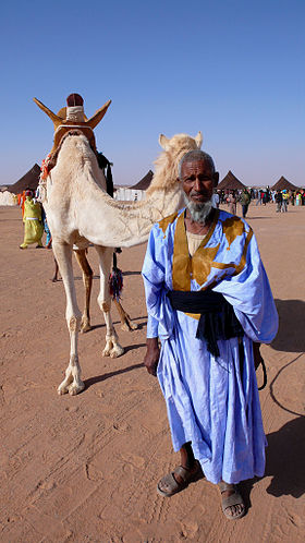 Sahrawi&camel.jpg