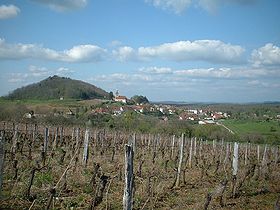 Photo des vignes et du village de Saint-Lothain.