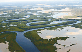Image illustrative de l'article Parc national du delta du Saloum