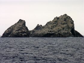 Un des îlots de Shag Rocks