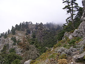 Image illustrative de l'article Parc naturel de la Sierra de las Nieves