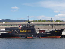 Steve Irwin docked in Hobart.JPG