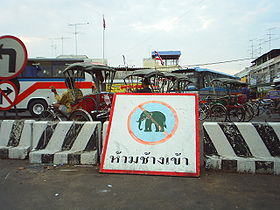 La gare routière de Surin est interdite aux éléphants