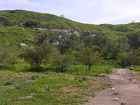 Tel Zafit
