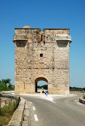 La tour Carbonnière vue du sud
