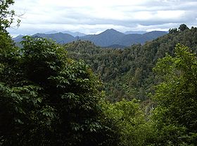 Image illustrative de l'article Parc national de Te Urewera