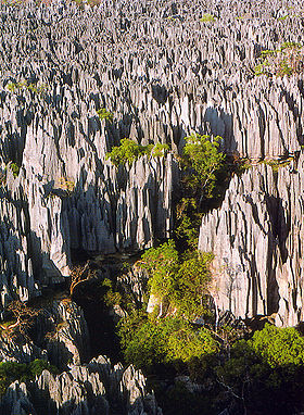 Image illustrative de l'article Parc national Tsingy de Bemaraha