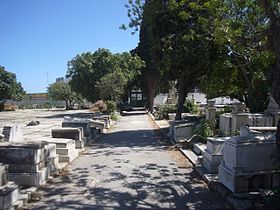 Allée du cimetière juif à l'été 2008