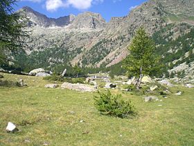 Image illustrative de l'article Parc naturel des Alpes maritimes