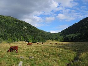 Image illustrative de l'article Parc naturel régional Livradois-Forez