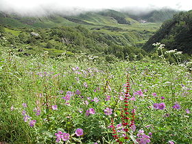 Image illustrative de l'article Parc national de la Vallée des fleurs