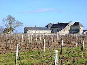 Sur le plateau viticole, à la limite de Parnay