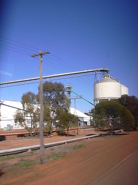 Un silo à céréales dans la Wheatbelt