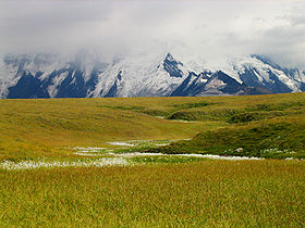 Image illustrative de l'article Parc national de Wrangell - Saint-Élie