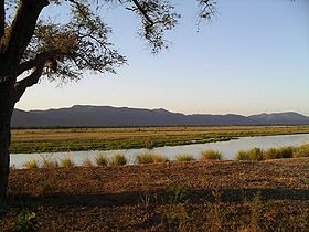Le fleuve Zambèze dans le parc de Mana Pools avec une vue des collines de Zambie à l’arrière-plan