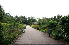 Image du Kelvingrove Park