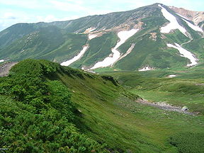 Vue à partir de mont Asahidake en été.