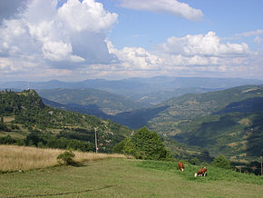 Blick über Montenegro.jpg