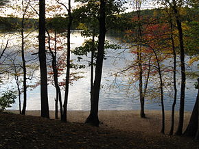 L'étang de Walden en octobre. Quelques arbres aux feuilles jaunies ou rougies apparaissent devant une perspective de l'étang de Walden.