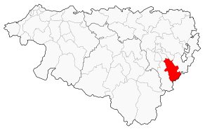Situation du canton de Nay-Est dans le département Pyrénées-Atlantiques