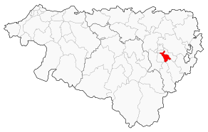 Situation du canton de Pau-Sud dans le département Pyrénées-Atlantiques