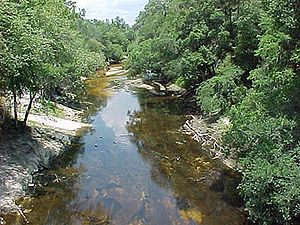 Alapaha River.jpg