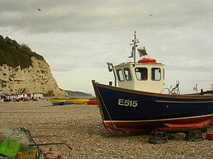 Boats on the Beach at Beer - geograph.org.uk - 239999.jpg